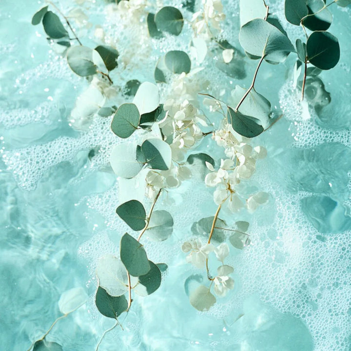 Nordic Spa